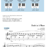 Adult Piano Adventures® All-in-One Course Book 2